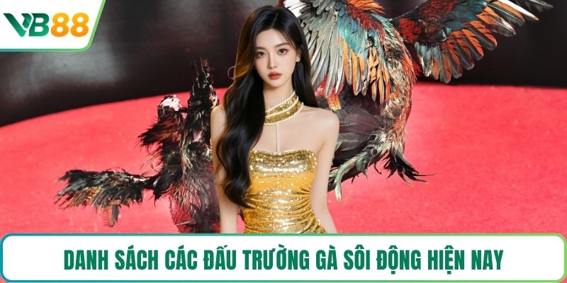 Danh sách các đấu trường gà sôi động hiện nay