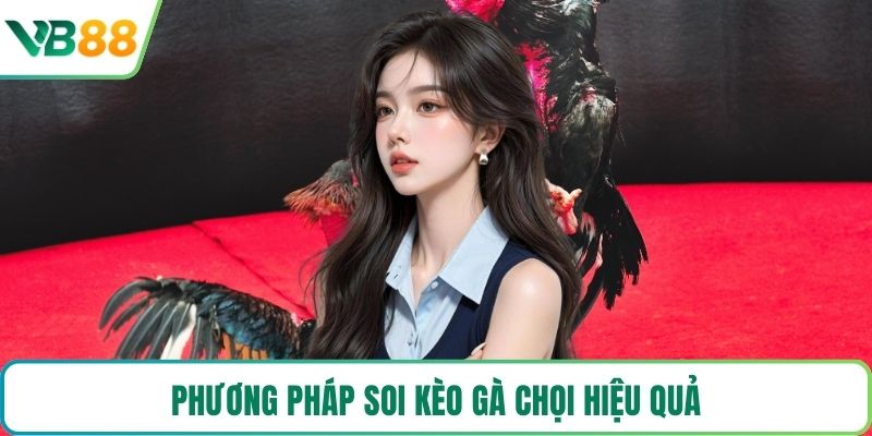 Phương pháp soi kèo gà chọi hiệu quả