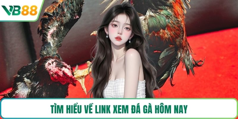 Tìm hiểu về link xem đá gà hôm nay
