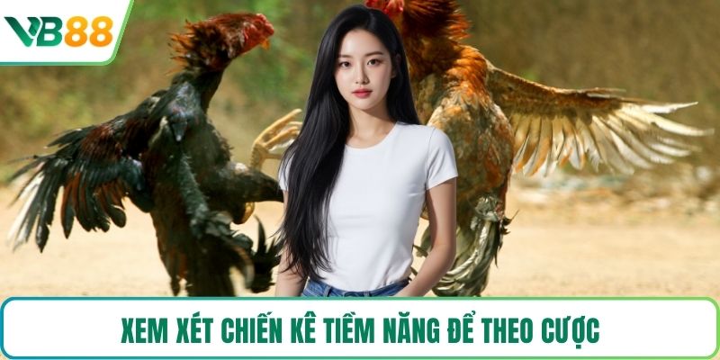 Xem xét chiến kê tiềm năng để theo cược